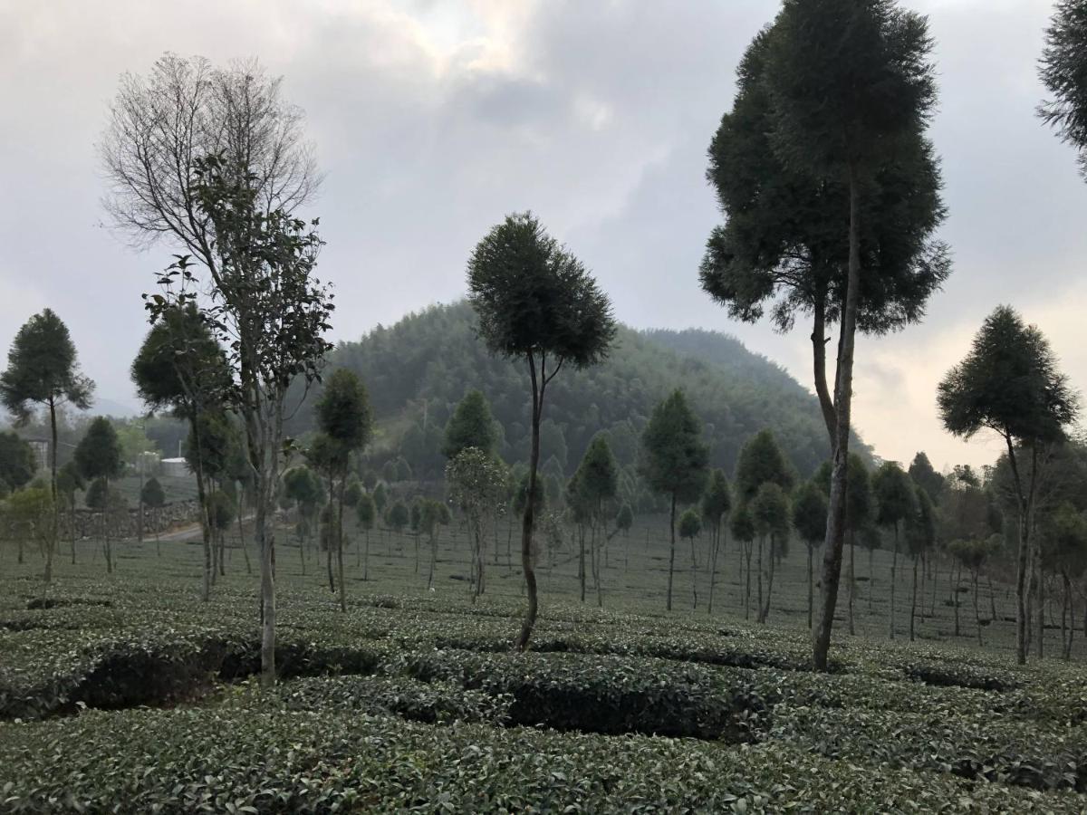 悟 佐茶 Satori Tea Villa Leye Luaran gambar