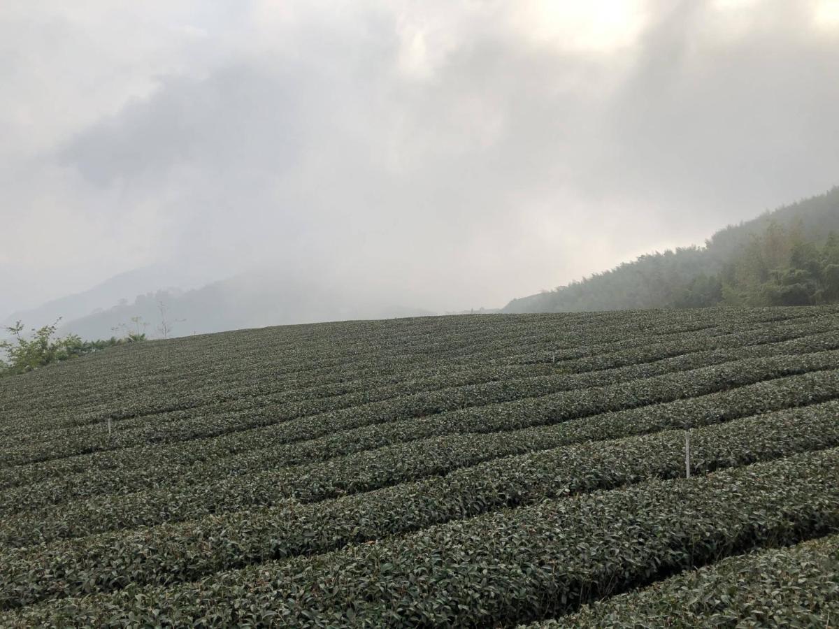 悟 佐茶 Satori Tea Villa Leye Luaran gambar